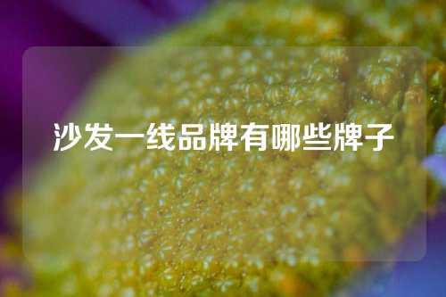 沙发一线品牌有哪些牌子