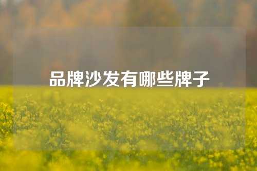 品牌沙发有哪些牌子