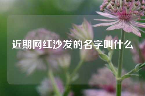 近期网红沙发的名字叫什么