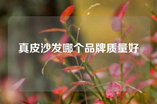 真皮沙发哪个品牌质量好