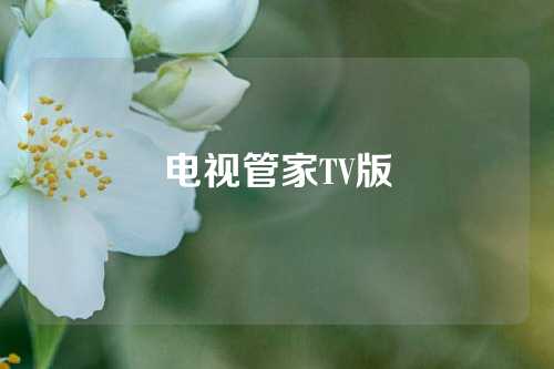 电视管家TV版