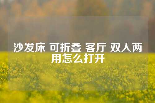 沙发床 可折叠 客厅 双人两用怎么打开
