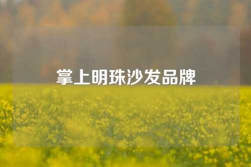 掌上明珠沙发品牌