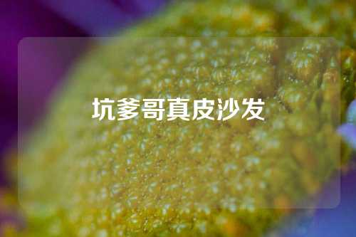坑爹哥真皮沙发