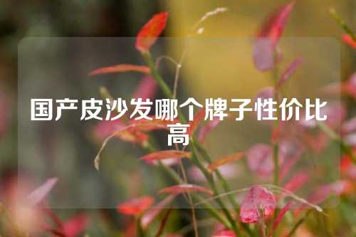 国产皮沙发哪个牌子性价比高