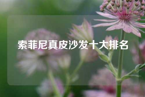 索菲尼真皮沙发十大排名