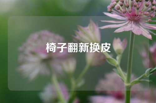 椅子翻新换皮