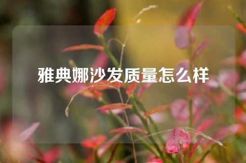 雅典娜沙发质量怎么样