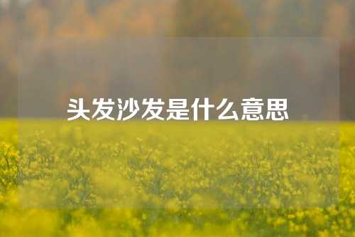 头发沙发是什么意思