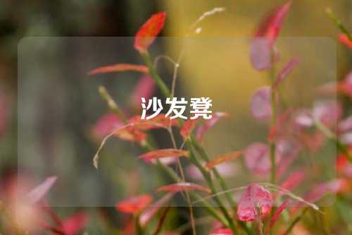 沙发凳