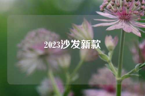 2023沙发新款