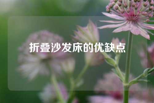 折叠沙发床的优缺点