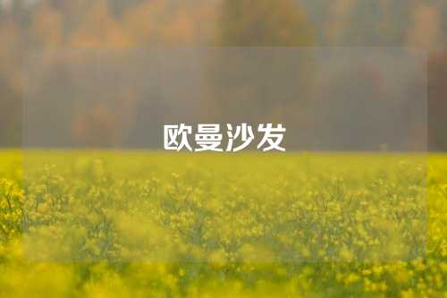 欧曼沙发