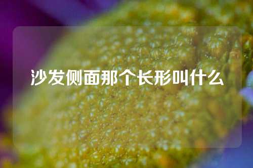 沙发侧面那个长形叫什么