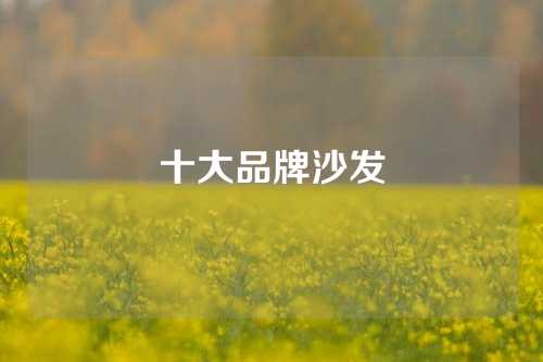 十大品牌沙发