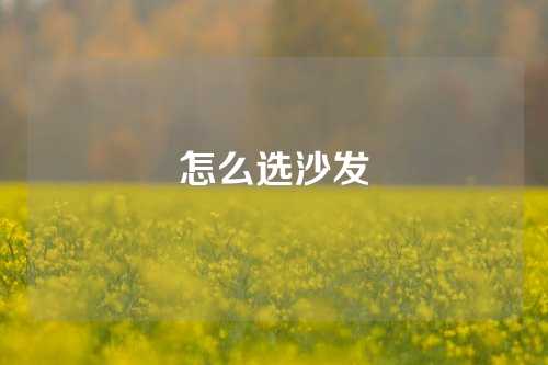 怎么选沙发