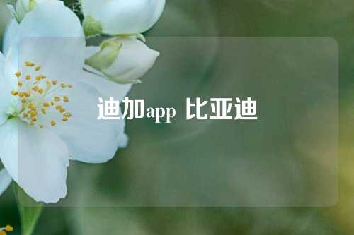 迪加app 比亚迪