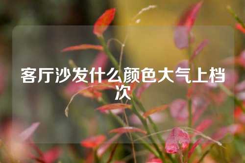 客厅沙发什么颜色大气上档次