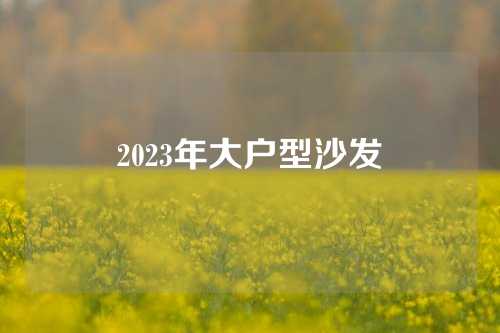 2023年大户型沙发