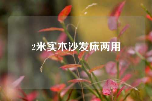 2米实木沙发床两用