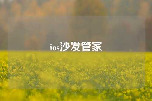ios沙发管家