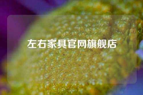 左右家具官网旗舰店