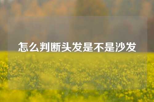 怎么判断头发是不是沙发