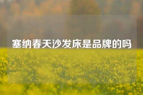 塞纳春天沙发床是品牌的吗