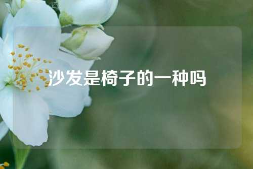 沙发是椅子的一种吗