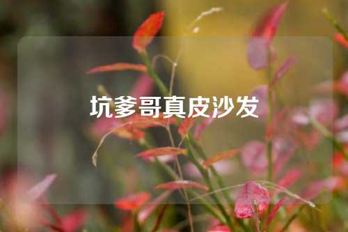 坑爹哥真皮沙发