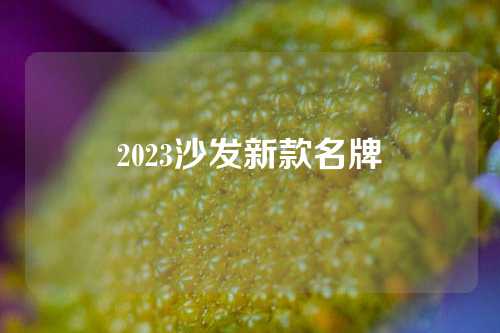 2023沙发新款名牌