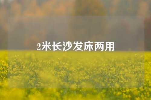 2米长沙发床两用
