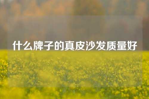 什么牌子的真皮沙发质量好