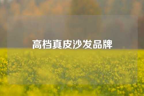 高档真皮沙发品牌