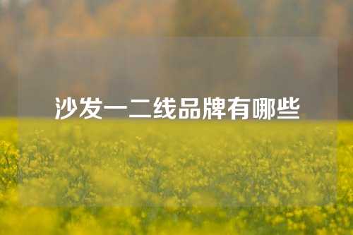 沙发一二线品牌有哪些