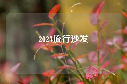 2023流行沙发