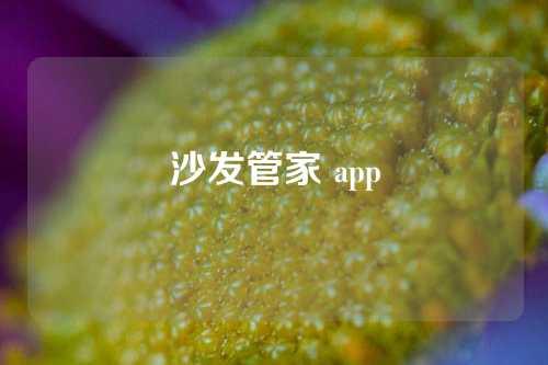 沙发管家 app