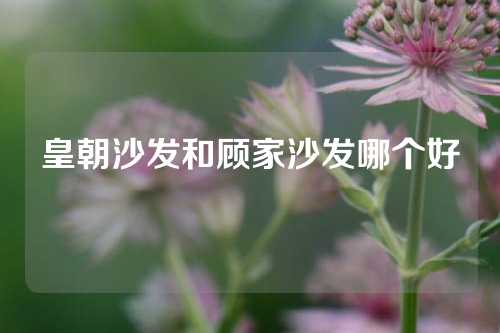 皇朝沙发和顾家沙发哪个好