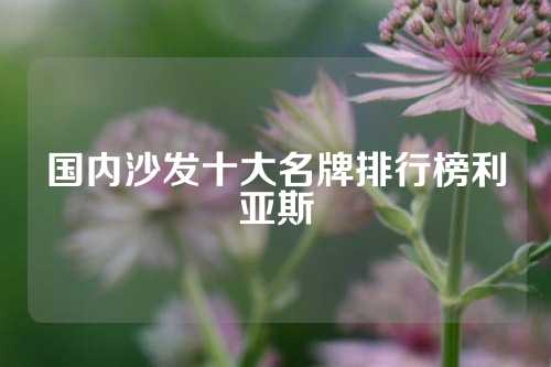 国内沙发十大名牌排行榜利亚斯