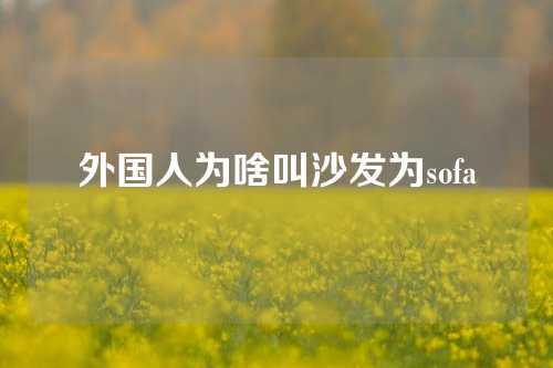 外国人为啥叫沙发为sofa