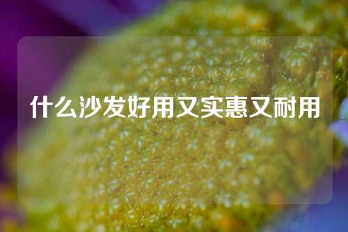 什么沙发好用又实惠又耐用