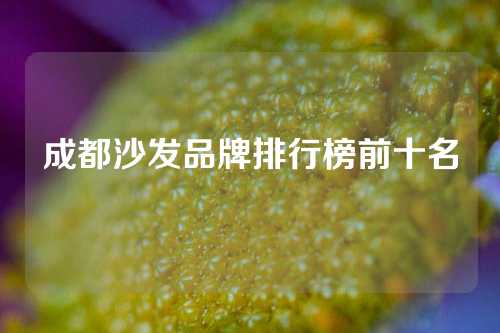 成都沙发品牌排行榜前十名