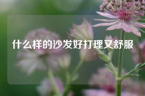 什么样的沙发好打理又舒服