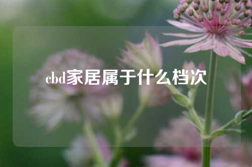cbd家居属于什么档次