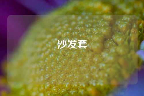 沙发套
