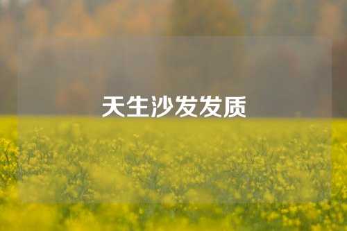 天生沙发发质