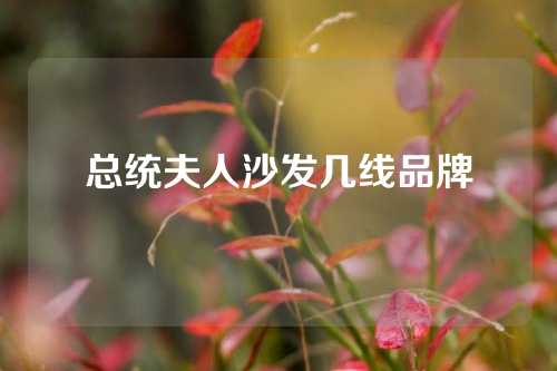 总统夫人沙发几线品牌