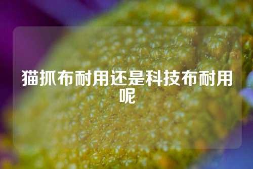 猫抓布耐用还是科技布耐用呢