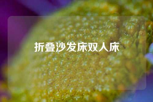 折叠沙发床双人床