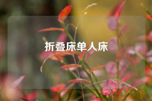 折叠床单人床